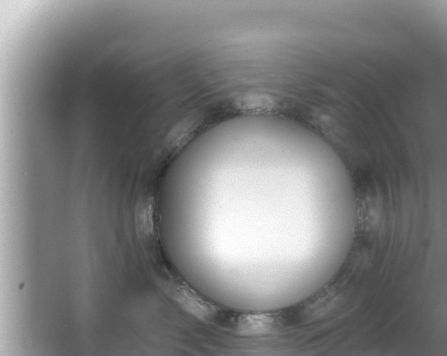 X0000067900717200604171403