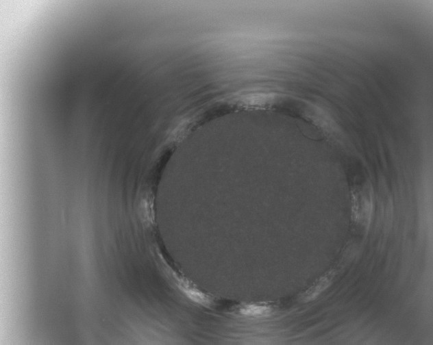 X0000067900718200604171403