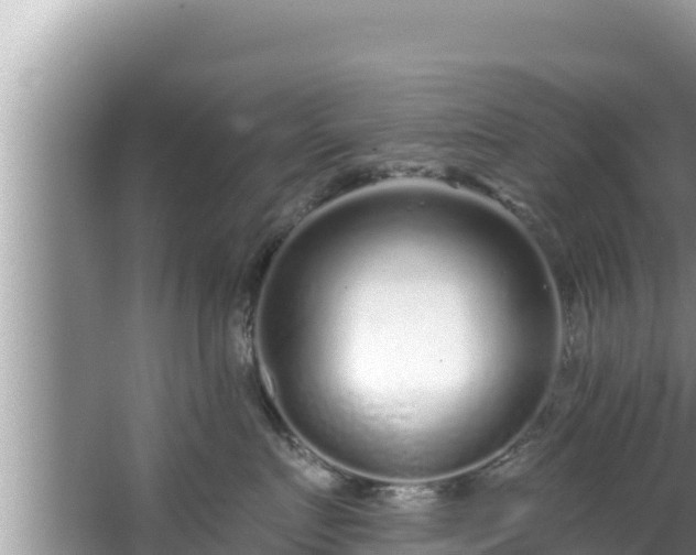 X0000067900719200604171403