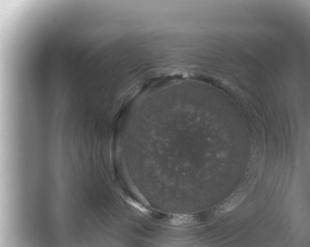 X0000067900720200604171403