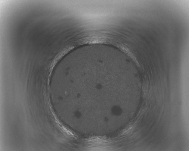 X0000067900721200604171402