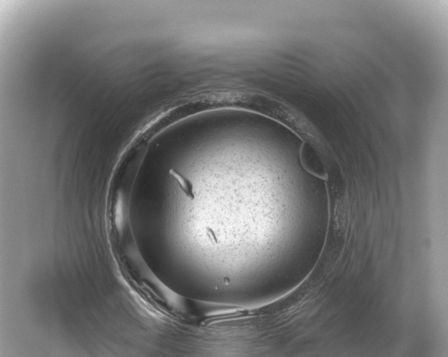 X0000067900722200604171402