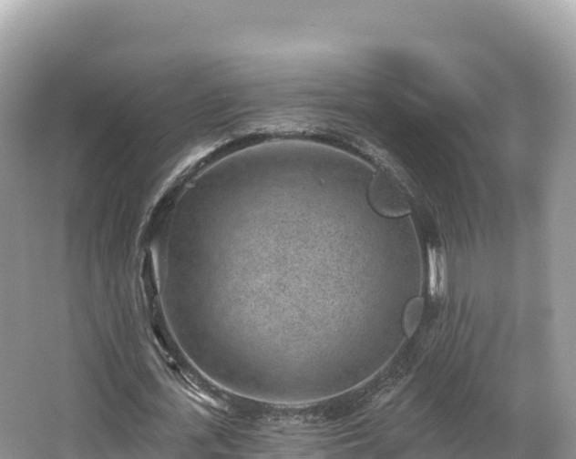 X0000067900723200604171402