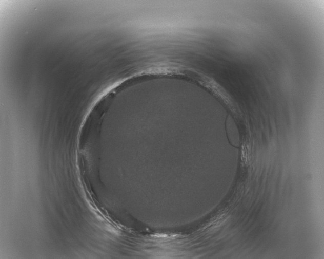 X0000067900724200604171402