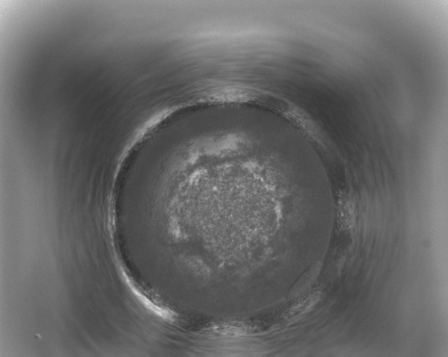 X0000067900726200604171402