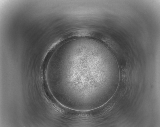 X0000067900727200604171402