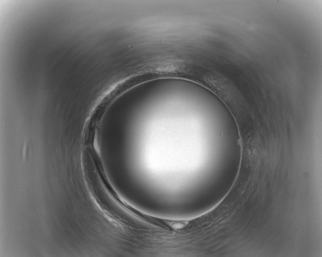 X0000067900728200604171402