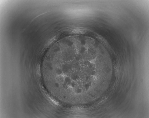 X0000067900729200604171402