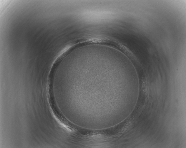 X0000067900730200604171402