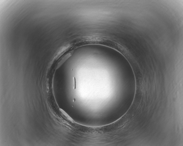 X0000067900731200604171402