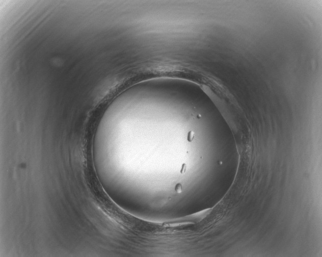 X0000067900732200604171402