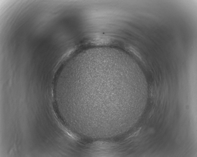 X0000067900733200604171402