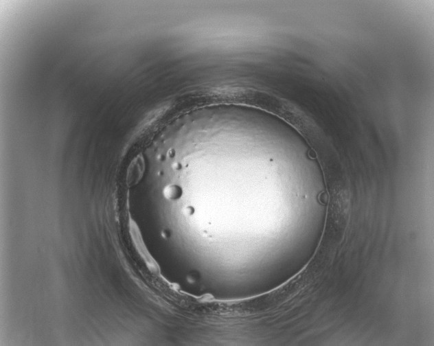 X0000067900734200604171402