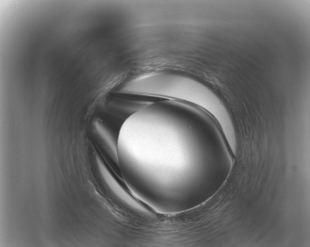 X0000067900735200604171402