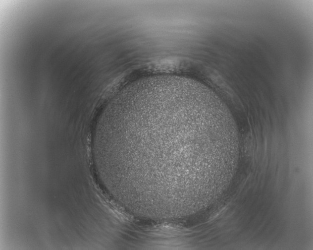 X0000067900737200604171402