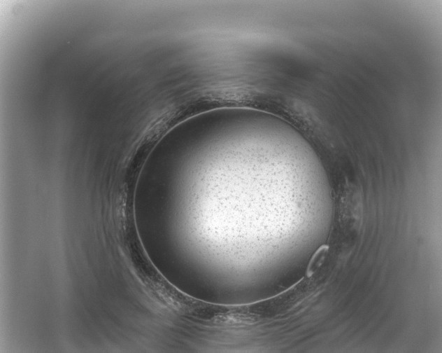 X0000067900739200604171402