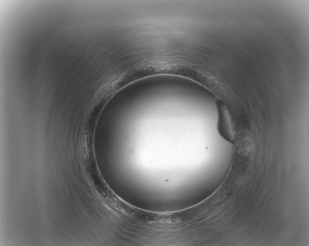 X0000067900740200604171402