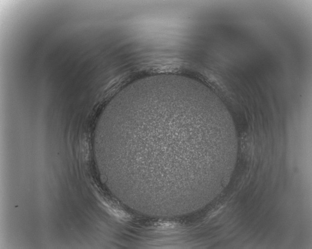 X0000067900741200604171402