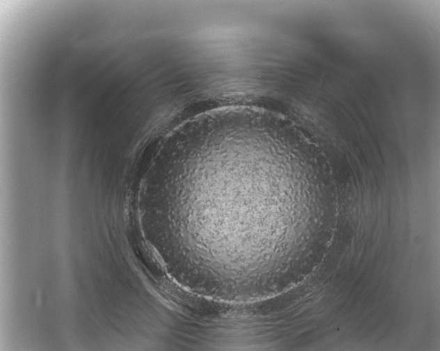 X0000067900742200604171402