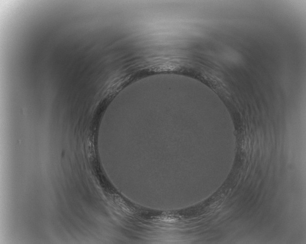 X0000067900743200604171402