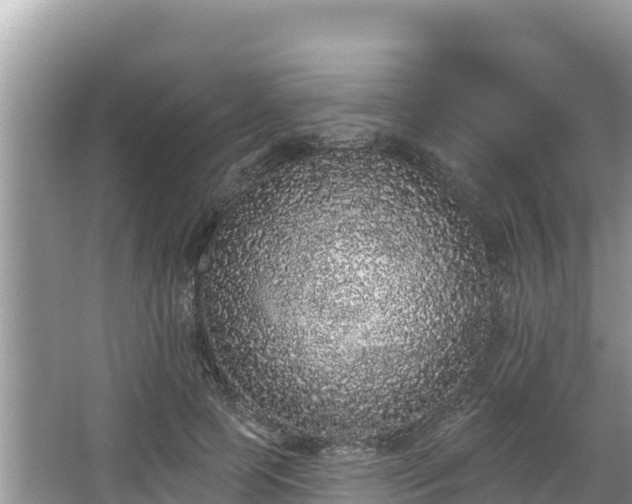 X0000067900745200604171402