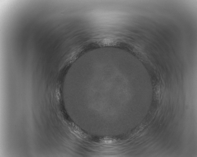 X0000067900746200604171402