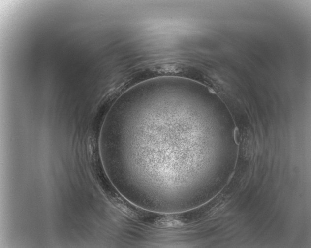 X0000067900747200604171402