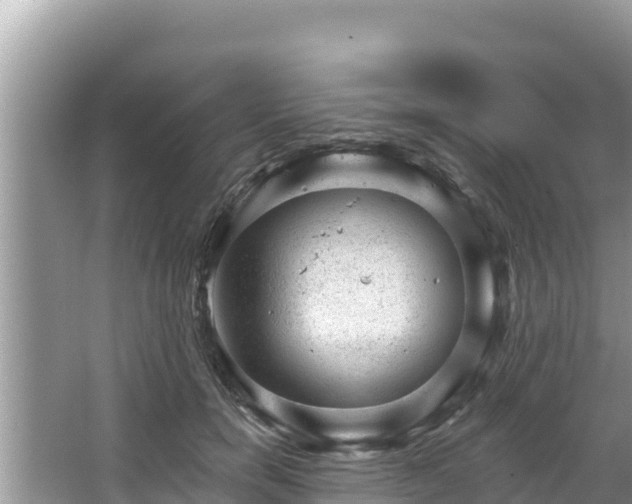 X0000067900750200604171402