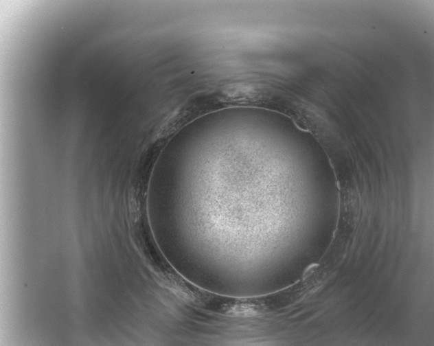 X0000067900751200604171402