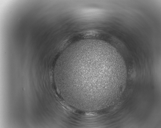 X0000067900753200604171402