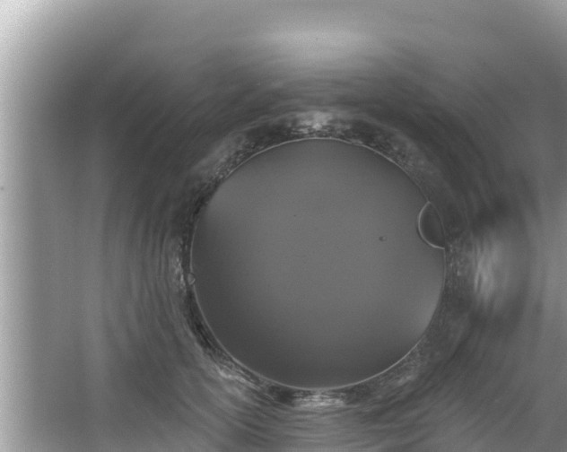 X0000067900754200604171402