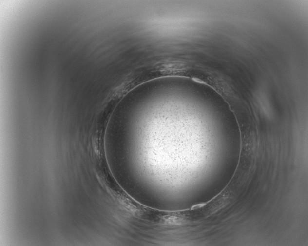 X0000067900755200604171403