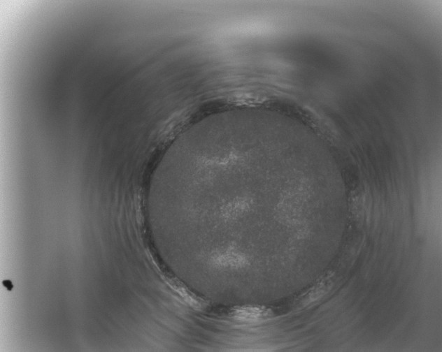 X0000067900757200604171403