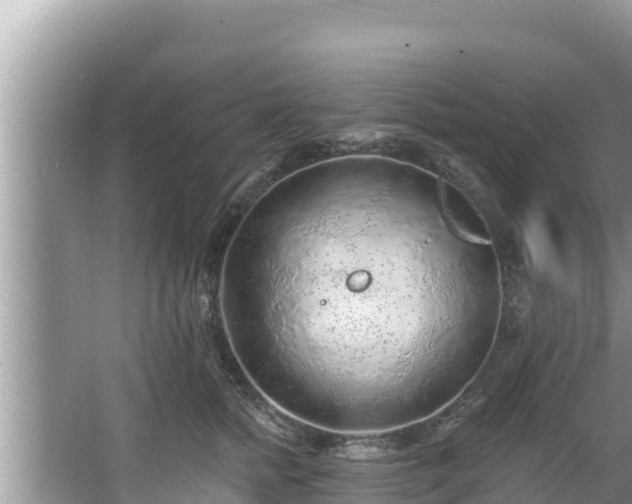 X0000067900758200604171403