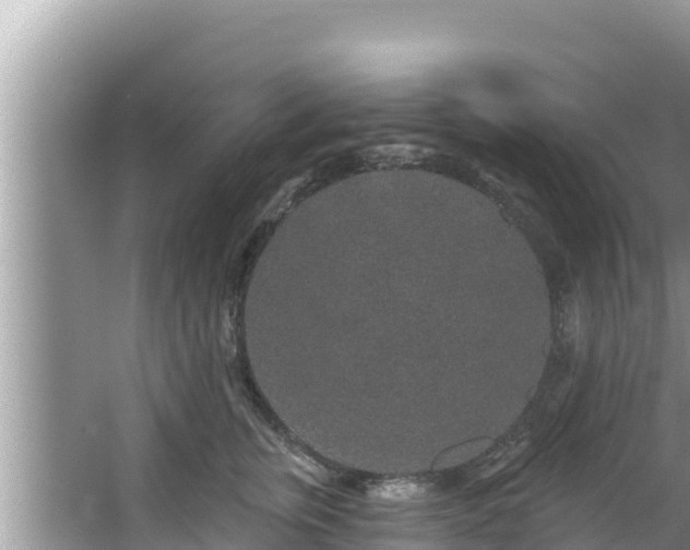 X0000067900759200604171403