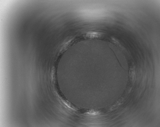 X0000067900760200604171403