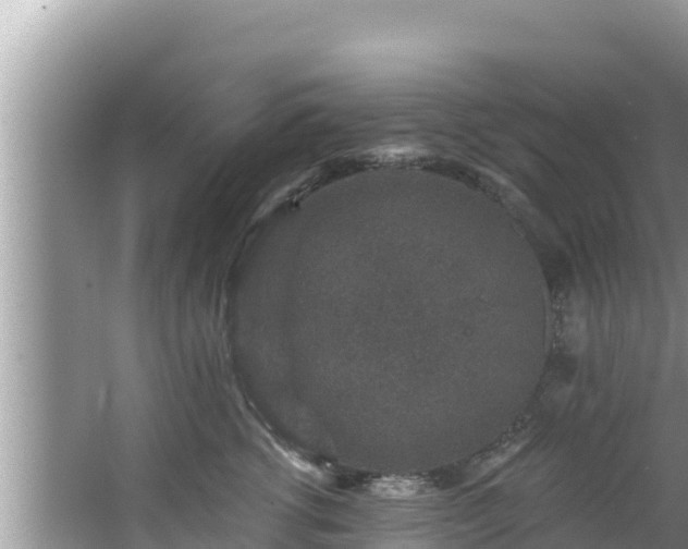 X0000067900762200604171403