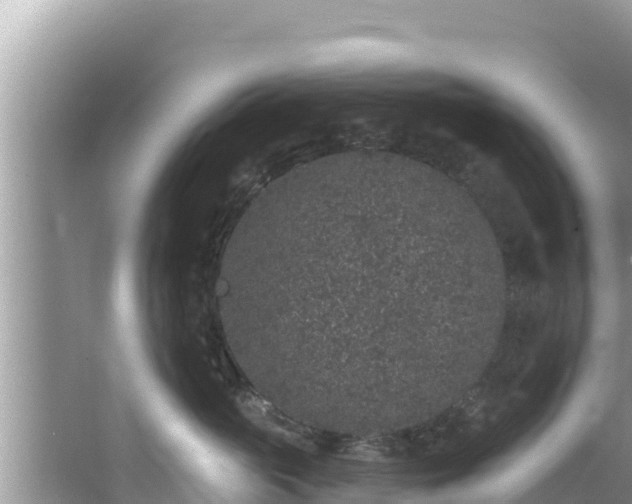 X0000067900765200604171403