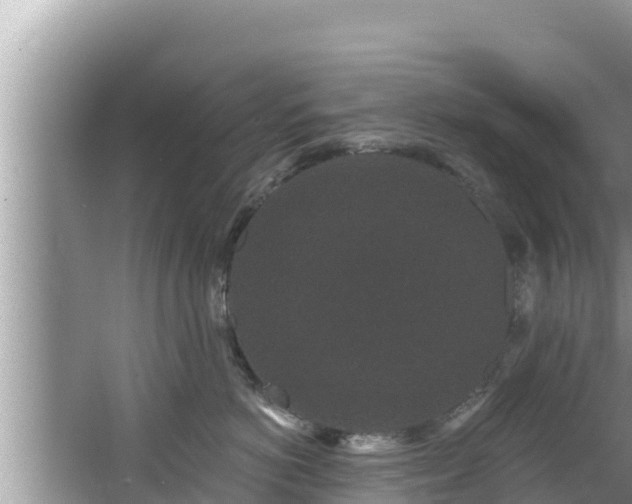 X0000067900766200604171403