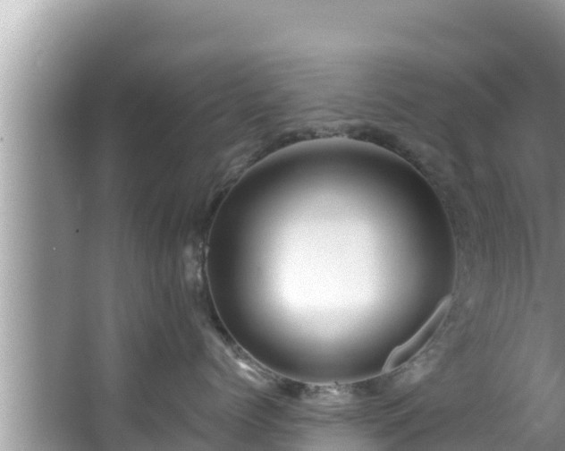 X0000067900768200604171403