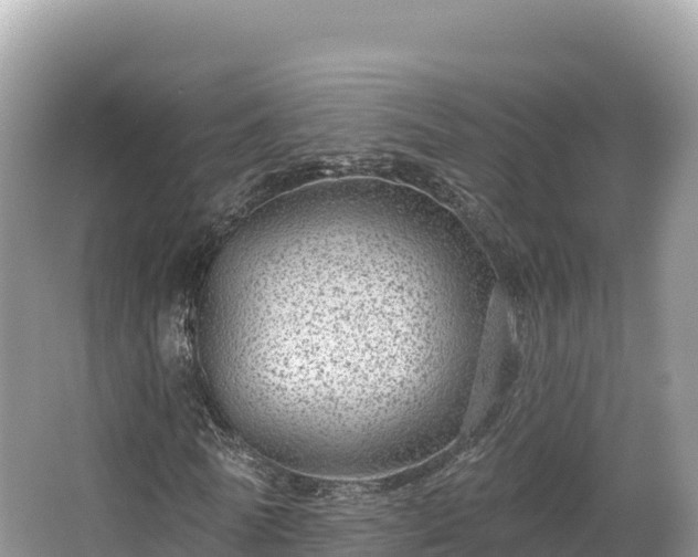 X0000067900770200604171402