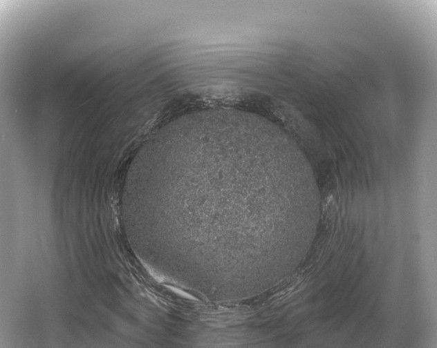 X0000067900772200604171402