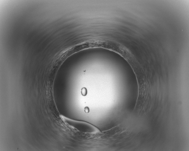 X0000067900773200604171402