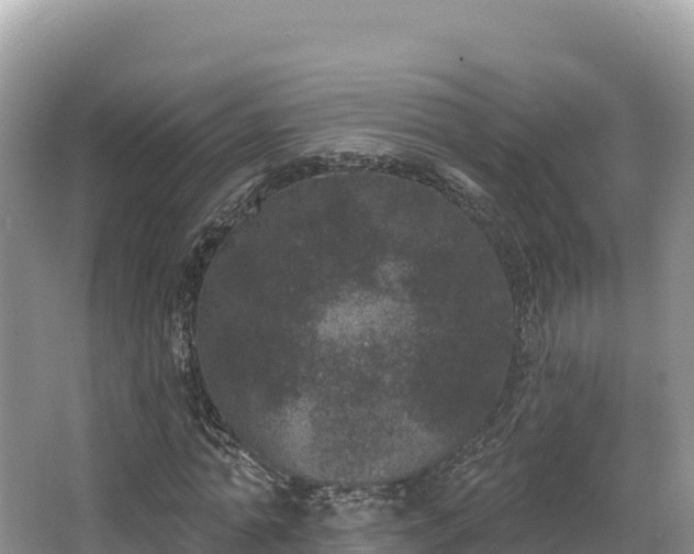 X0000067900774200604171402