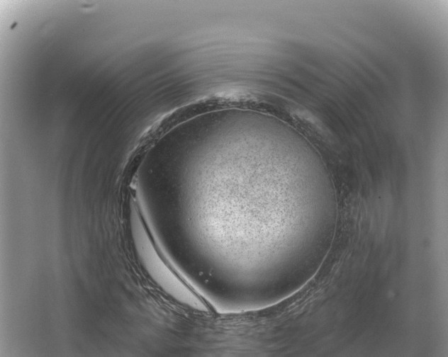 X0000067900776200604171402