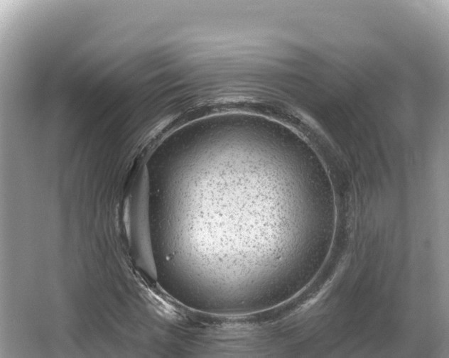 X0000067900777200604171402