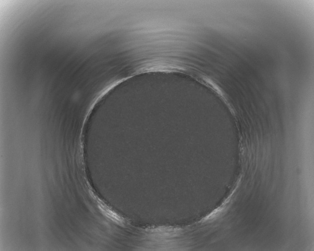 X0000067900779200604171402