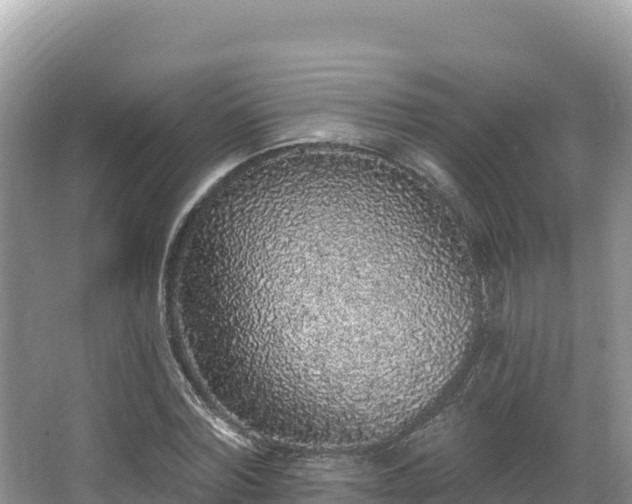 X0000067900780200604171402