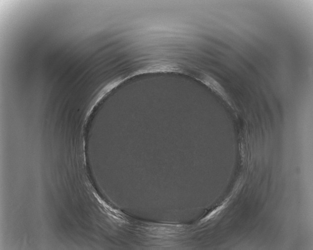 X0000067900781200604171402