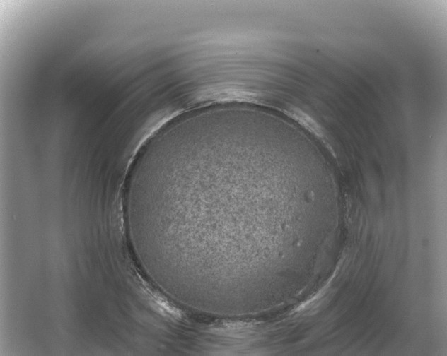 X0000067900782200604171402